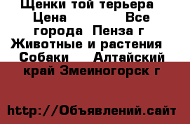 Щенки той терьера › Цена ­ 10 000 - Все города, Пенза г. Животные и растения » Собаки   . Алтайский край,Змеиногорск г.